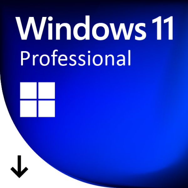 Microsoft Windows 11 Professional